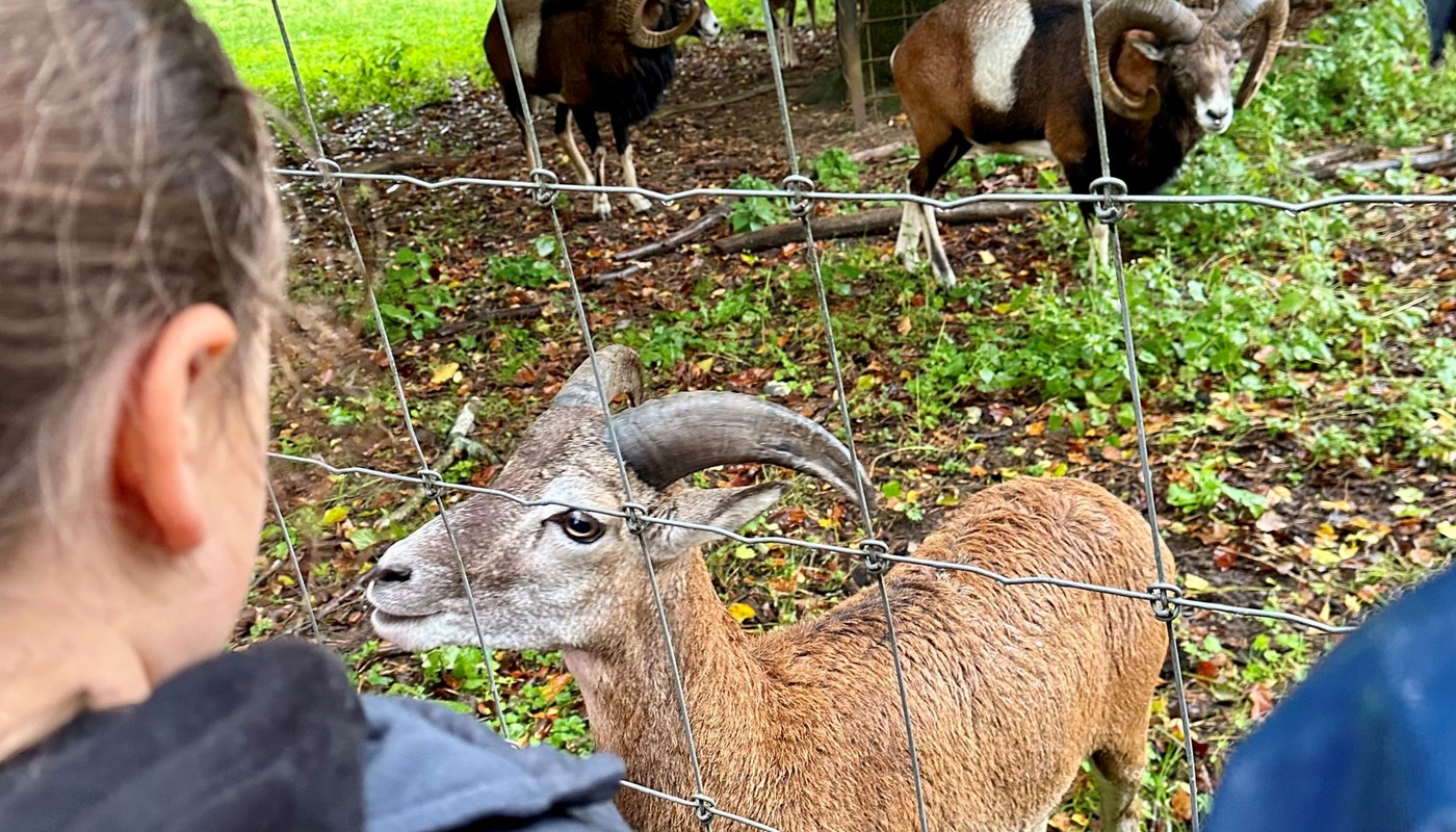 26 Plätze: Aktionswoche Wild im Park für Kinder in den Osterferien 26 Plätze: Aktionswoche Wild im Park für Kinder in den Osterferien