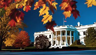 AfD und Trump: Ein ungewöhnlicher Fall im Weißen Haus AfD und Trump: Ein ungewöhnlicher Fall im Weißen Haus