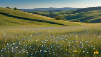 Debatte um flächendeckende Musterung und Wehrdienst: Politiker uneins Debatte um flächendeckende Musterung und Wehrdienst: Politiker uneins