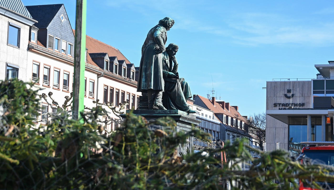 Hanau sammelt Weihnachtsbäume in der dritten Januarwoche ein