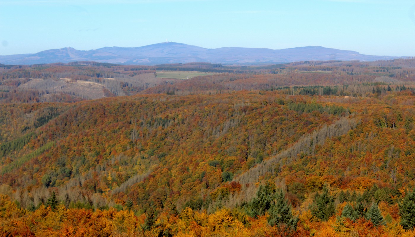 HarzFest 2024: Programm, Highlights und Besucherinformationen HarzFest 2024: Programm, Highlights und Besucherinformationen