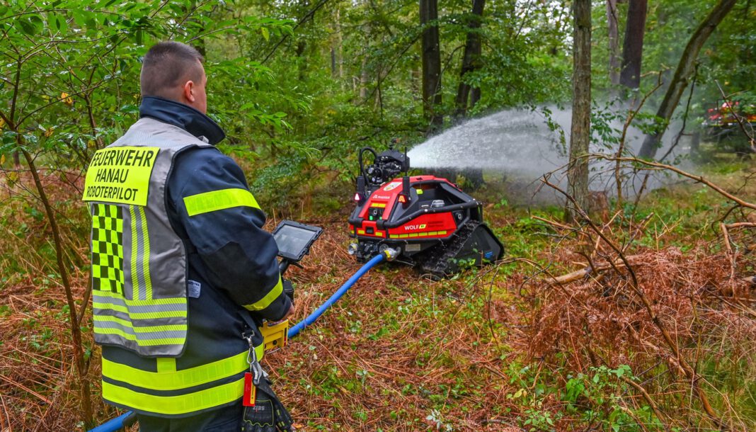 Waldbrand bei Klein-Auheim zerstört etwa 2,5 Hektar Wald und löst Präventionsmaßnahmen aus Waldbrand bei Klein-Auheim zerstört etwa 2,5 Hektar Wald und löst Präventionsmaßnahmen aus