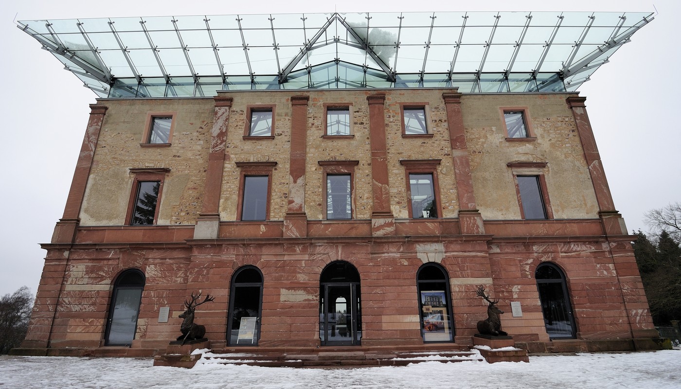 Weihnachtsbäume am Jagdschloss Platte: Verkauf aus zertifiziertem Stadtwald am 13. Dezember